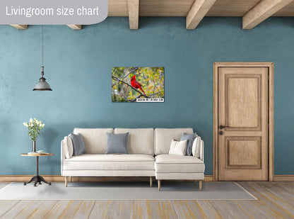 Northern Cardinal Fine Art Print: Arizona Fall Foliage Wildlife Photography