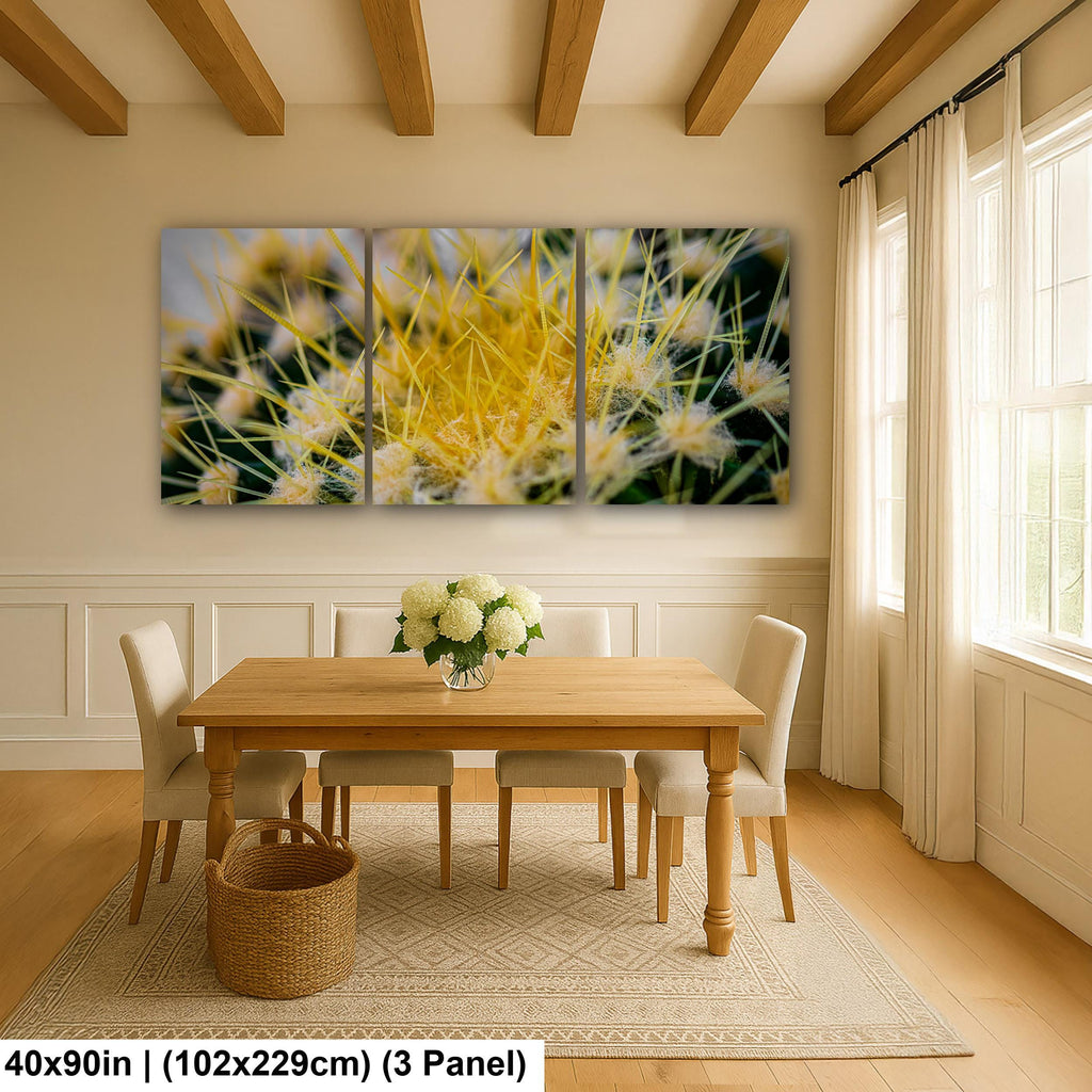 Golden Barrel Cactus: Yellow Spines Macro Botanical Photography Wall Art