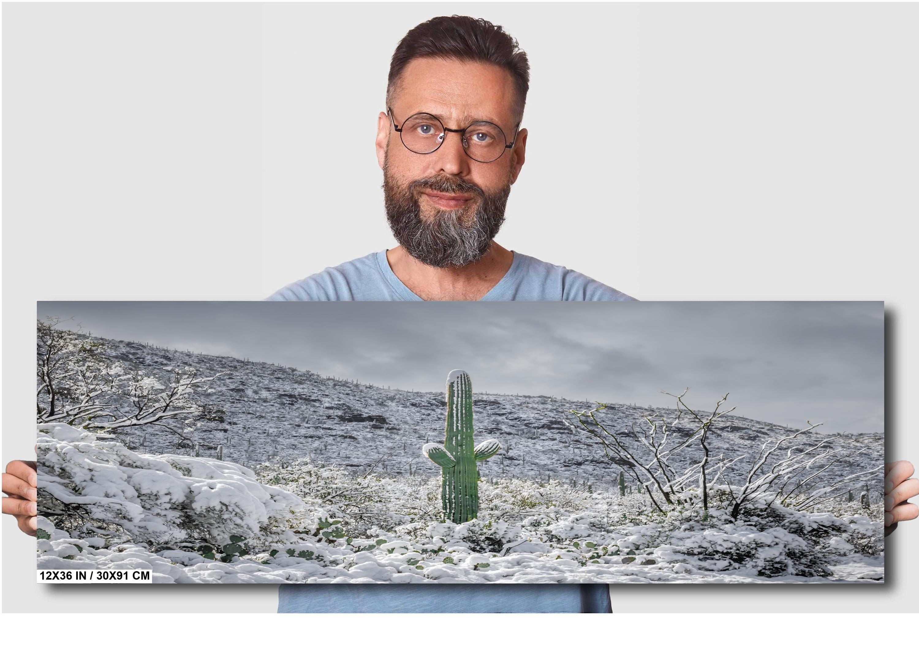 Saguaro Cactus in Snow Print: Tucson Arizona Winter Wall Art