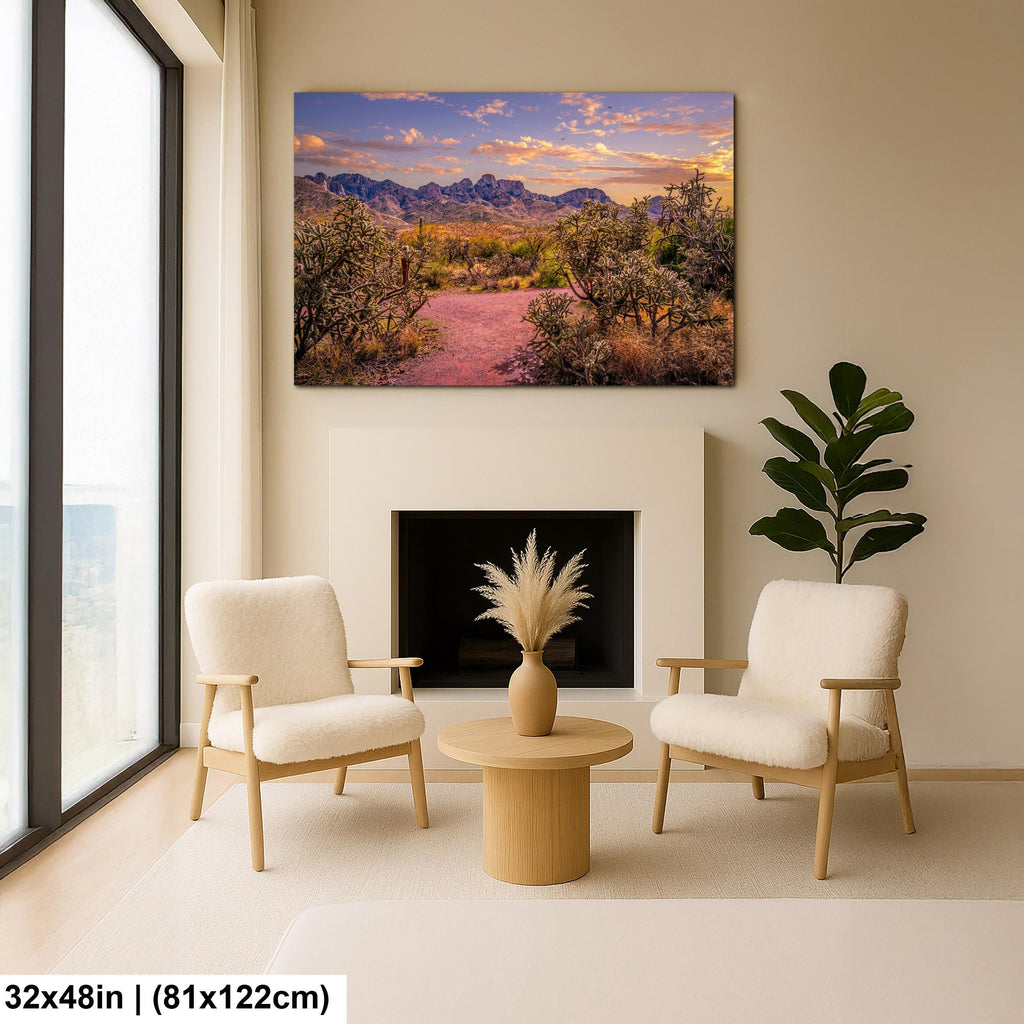 Sonoran Desert Trail Through Cholla Cactus - Tucson Arizona Mountain Sunset Photography Print