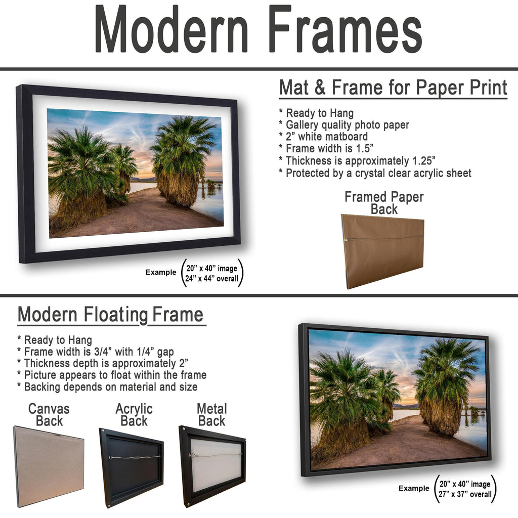 Oasis Palms: Mittry Lake Yuma AZ Desert Sunset Landscape Photo Wall Art
