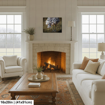 Emu Wildlife Portrait with Textured Feathers - Benson Arizona Photography Print