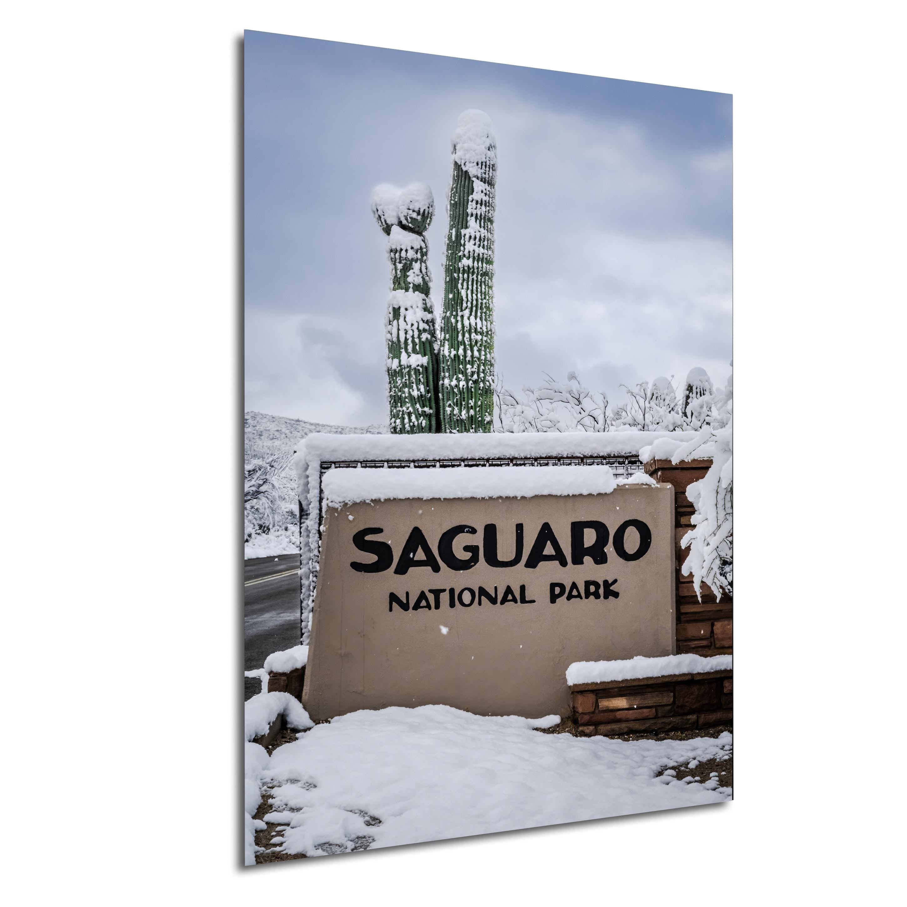 Saguaro National Park Winter Snow Cactus Print: Arizona Desert Wall Art