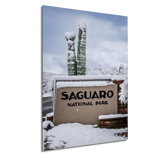 Saguaro National Park Wall Art – Snowy Desert Landscape | Tucson Arizona Decor
