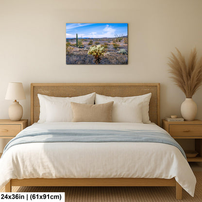 Teddy Bear Cholla in Bloom, Quartzsite Arizona Desert Landscape Photography Print