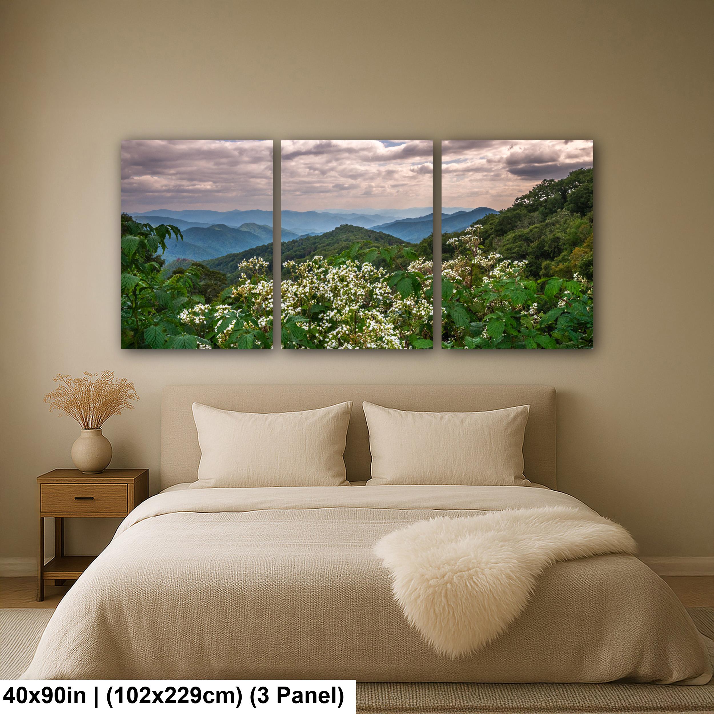 Mountain Meadow: Wildflowers Great Smoky Mountains Tennessee Photo Wall Art
