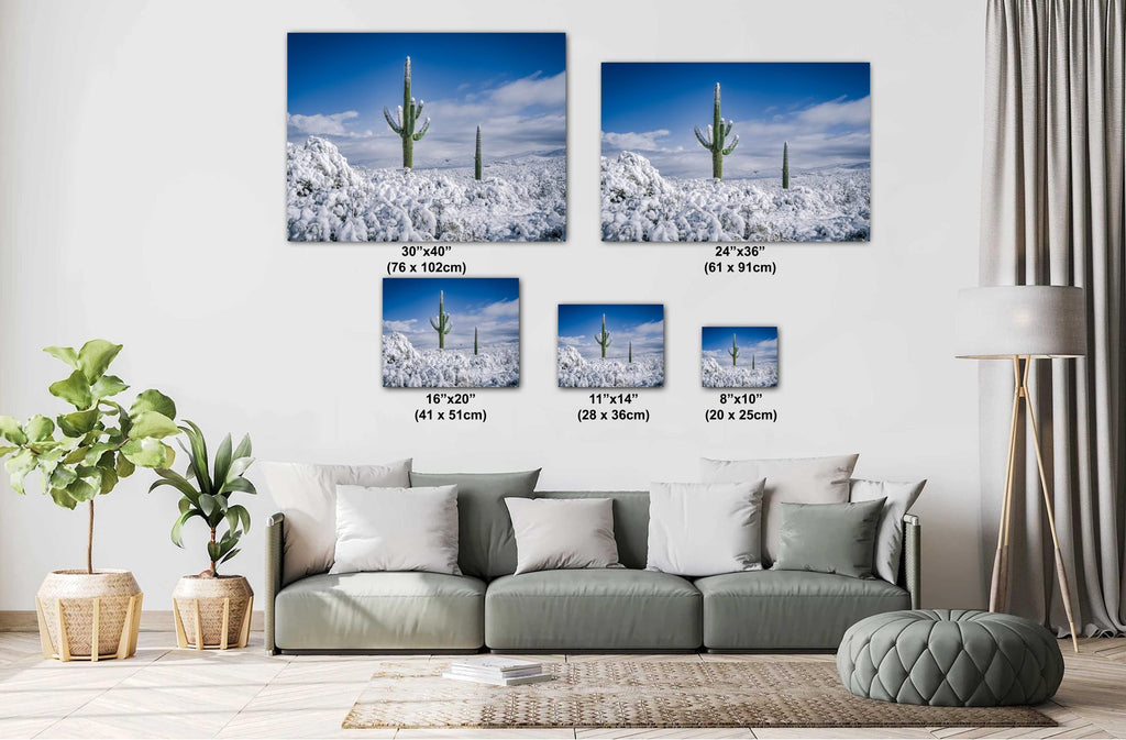 Snowy Saguaro Cactus Print: Tucson Desert Winter Photography