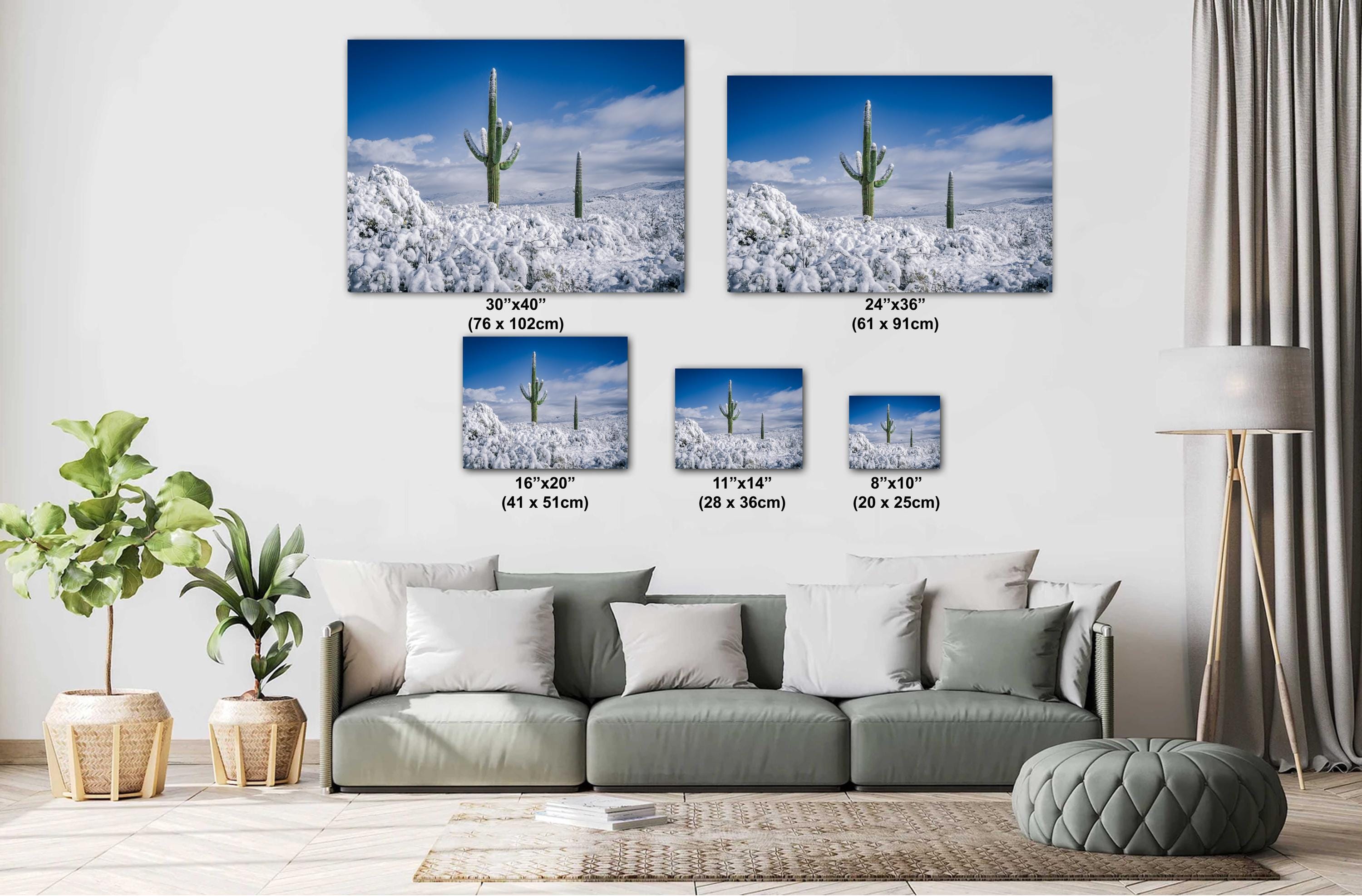 Snowy Saguaro Cactus Print: Tucson Desert Winter Photography