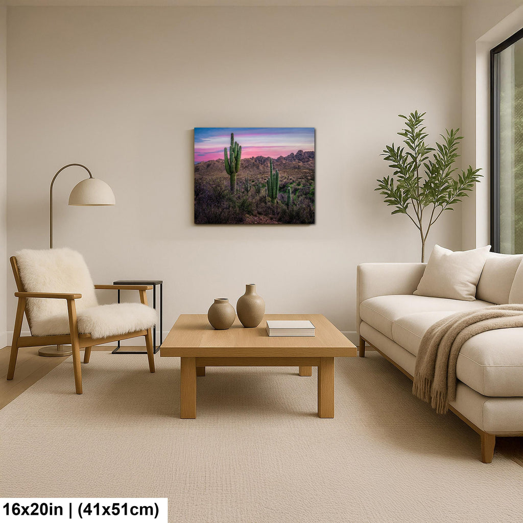 Sonoran Desert Sunset with Saguaros - Catalina State Park Tucson Arizona Photography Print