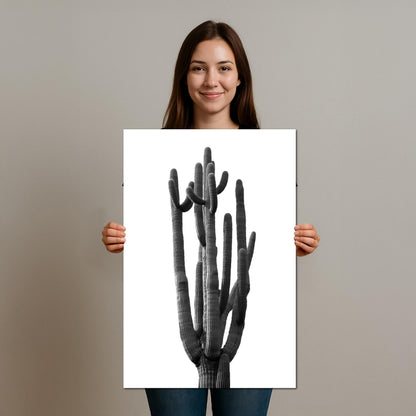 Towering Cactus Catalina State Park Arizona Black White Desert Wall Art