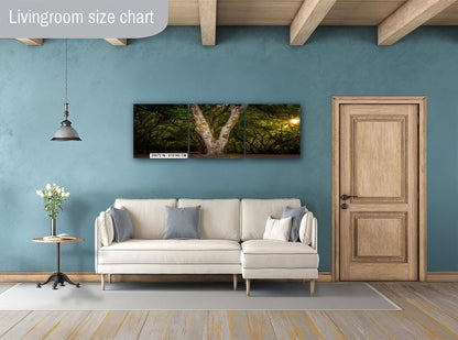 Oregon Forest Sunburst V-Trunk Tree Wall Art Photography Print, Woodland Light Rays Nature Canvas Wall Art, Pacific Northwest Metal Fine Art