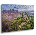 Cholla Cactus Arizona Desert Landscape Photography Wall Art