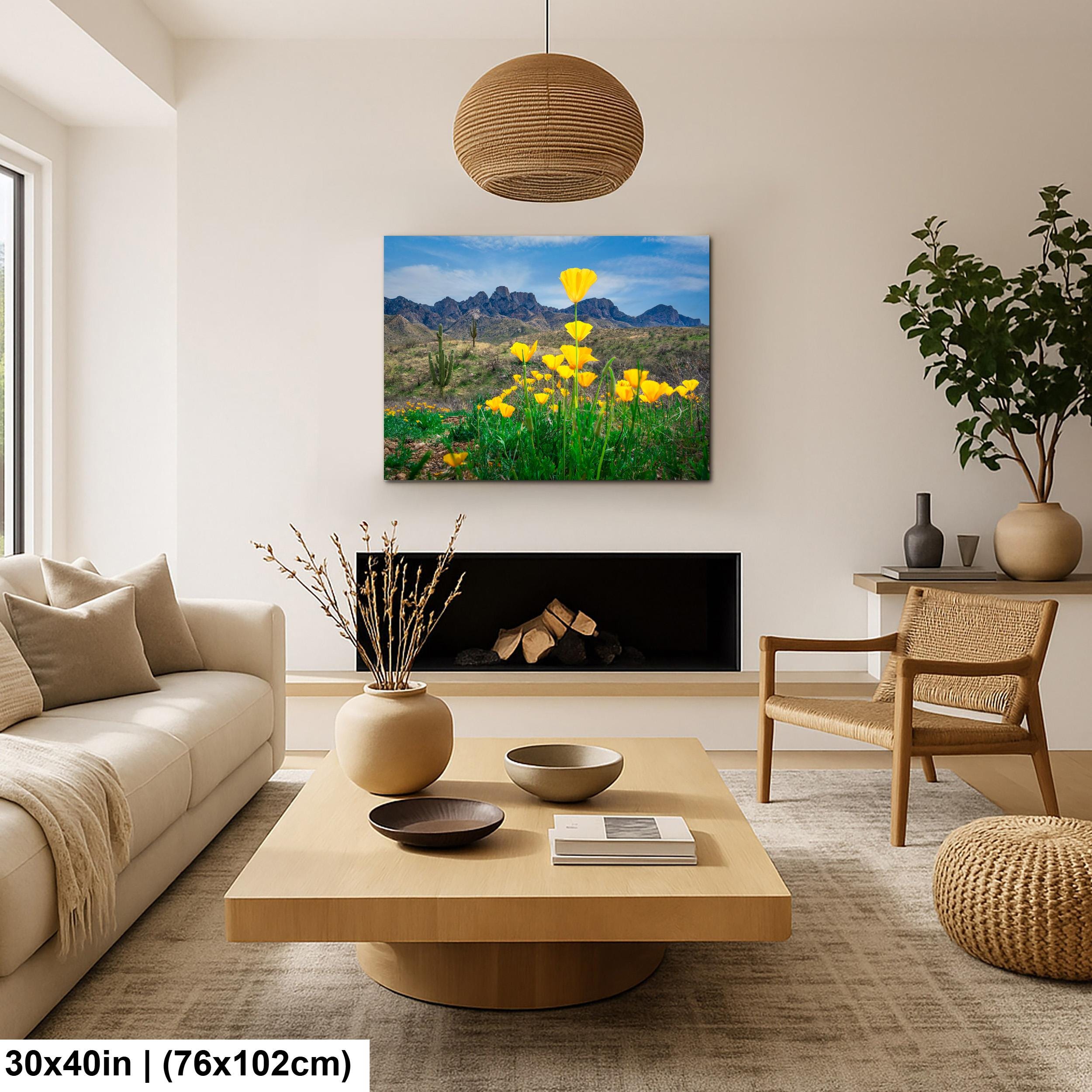 Arizona Poppies in Bloom with Saguaros and Mountains - Catalina State Park Tucson Photography Print