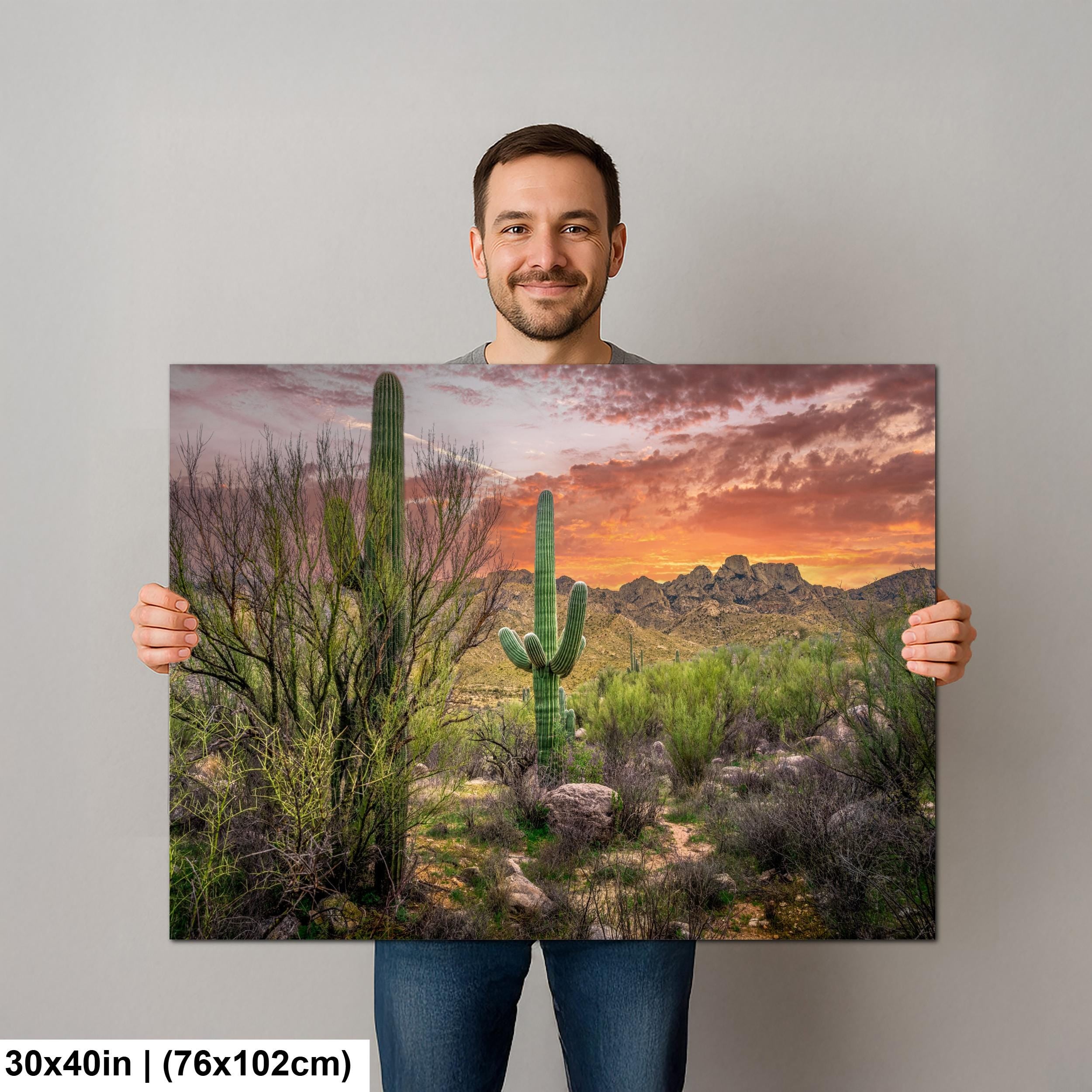 Sonoran Desert Sunset with Saguaros - Catalina State Park Tucson Arizona Photography Print