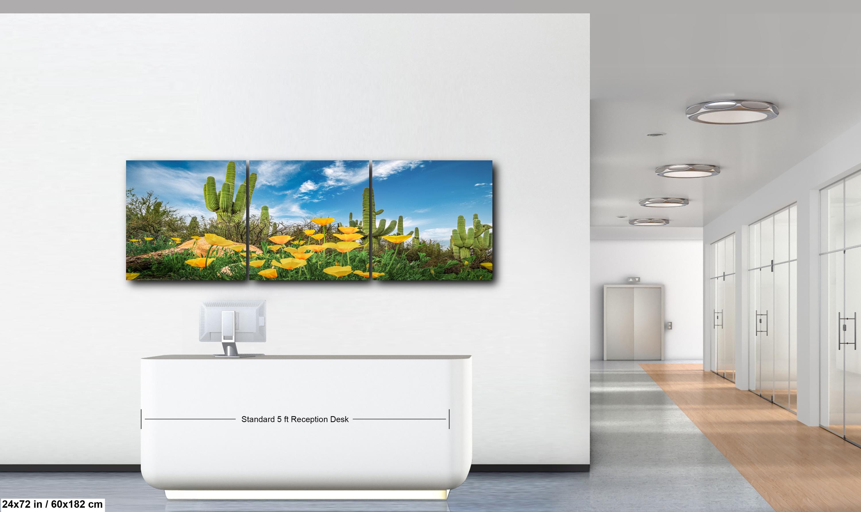 Sonoran Desert Yellow Poppies with Saguaros - Catalina State Park Tucson Arizona Photography Print