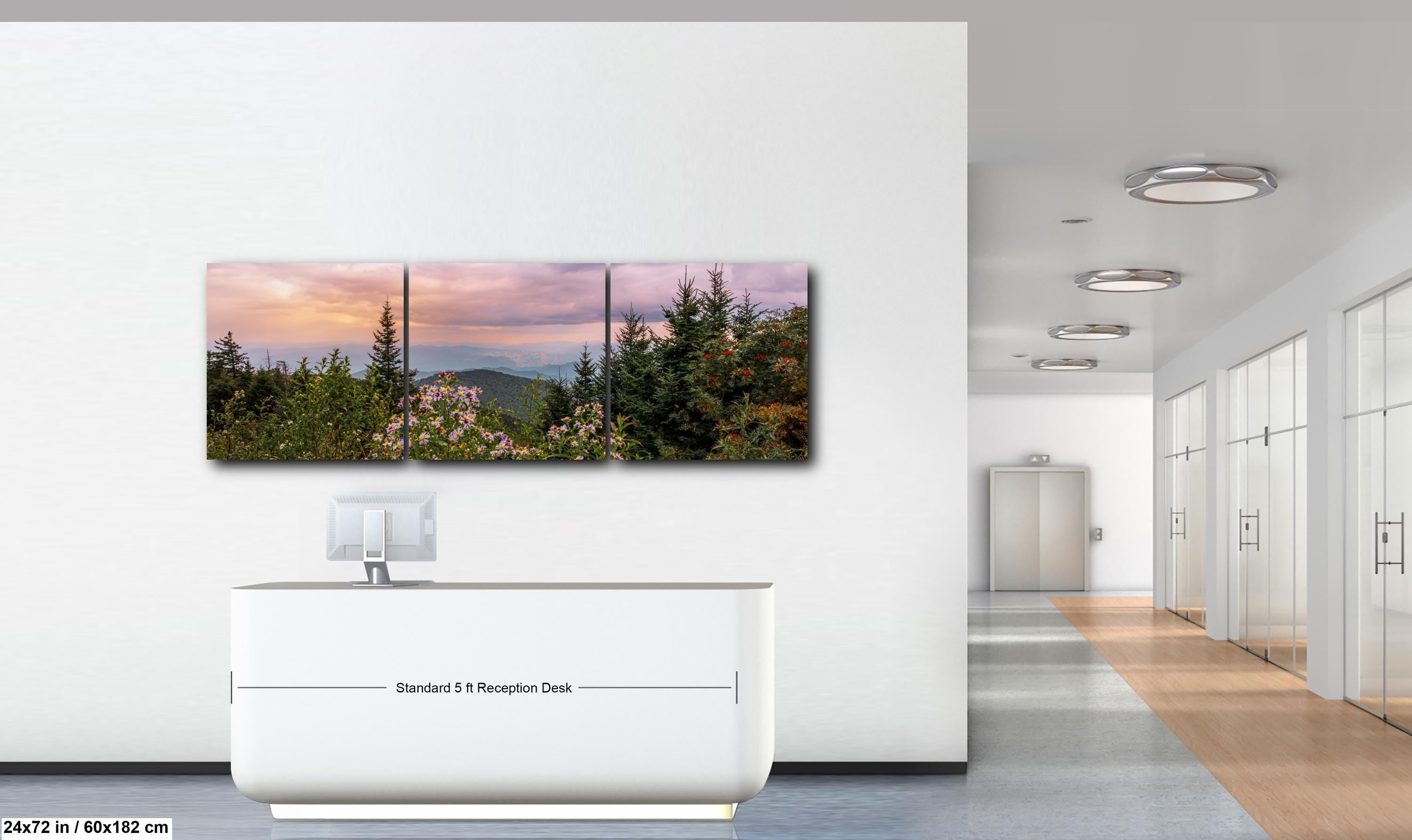 Mountain Wildflowers: Great Smoky Mountains Tennessee Photography Wall Art