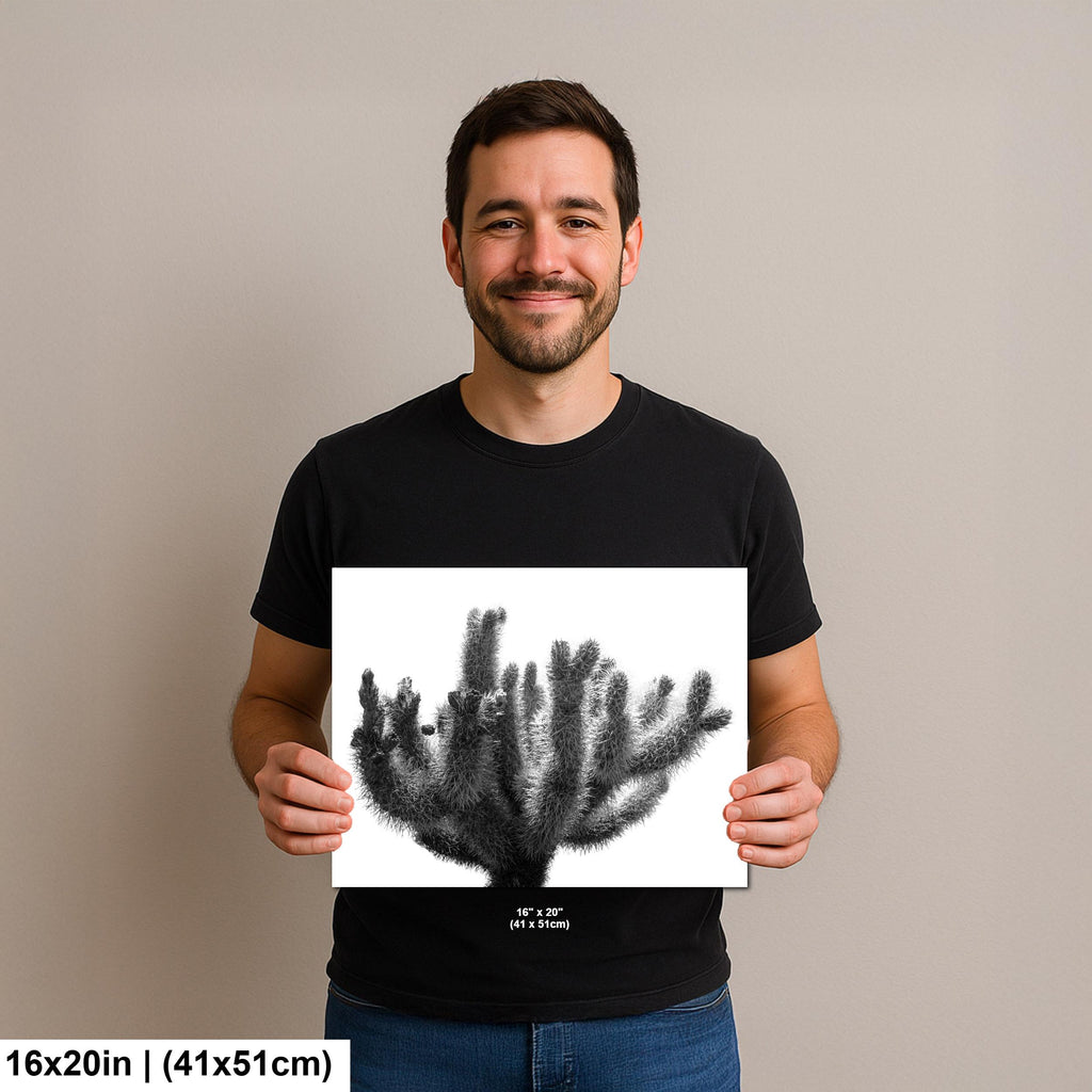 Joshua Tree Cholla Cactus Print: Black and White Desert Photography