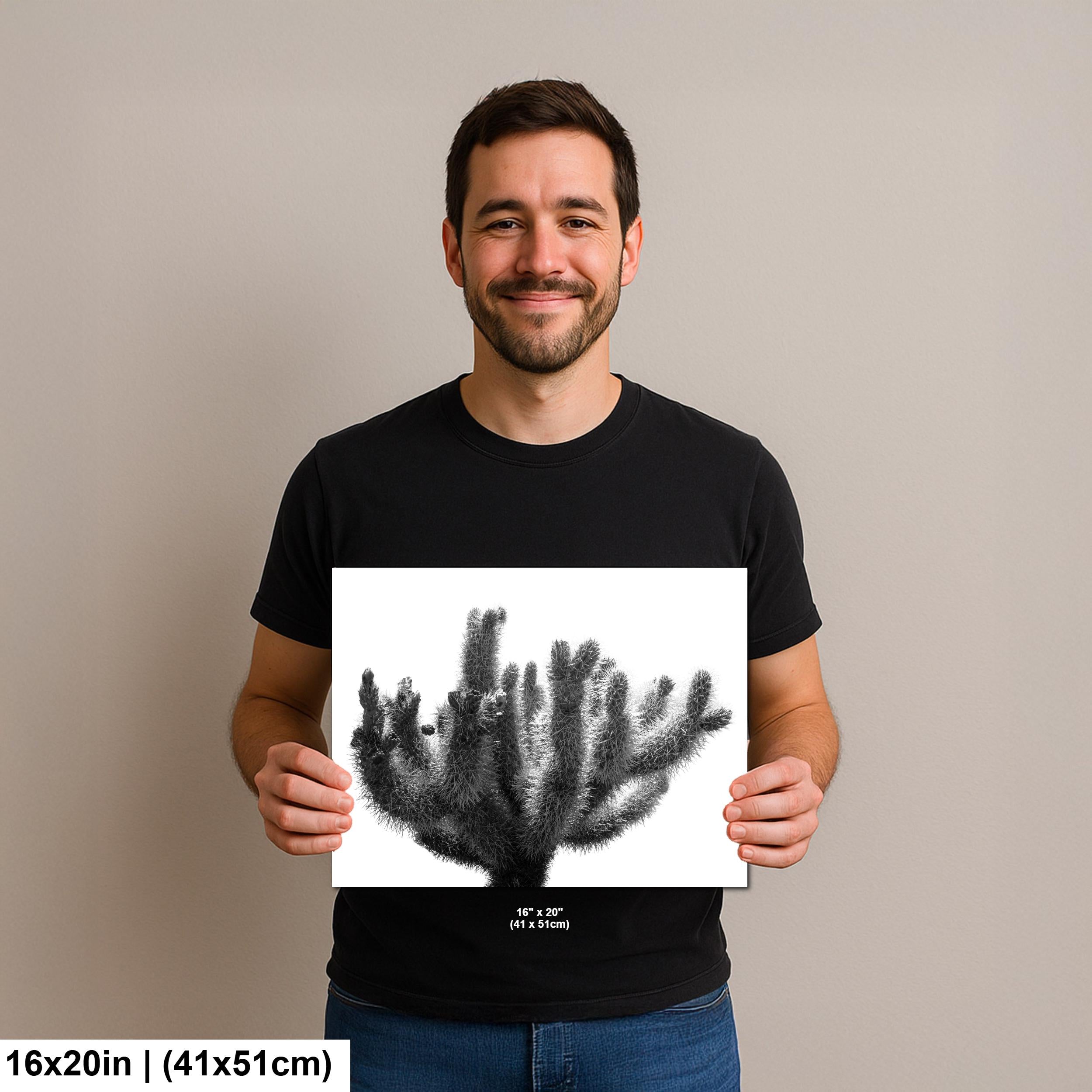 Joshua Tree Cholla Cactus Print: Black and White Desert Photography