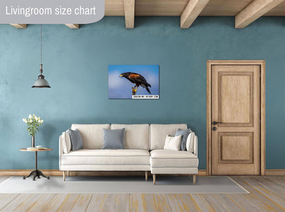 Harris's Hawk Desert Photography Print: Arizona Wildlife Art