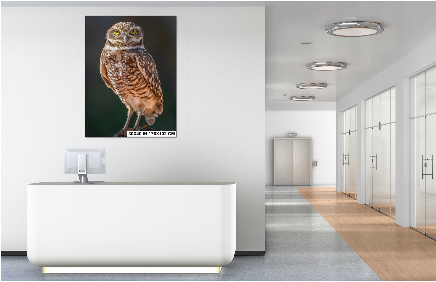 a large owl portrait hanging on a white wall in a modern office space.