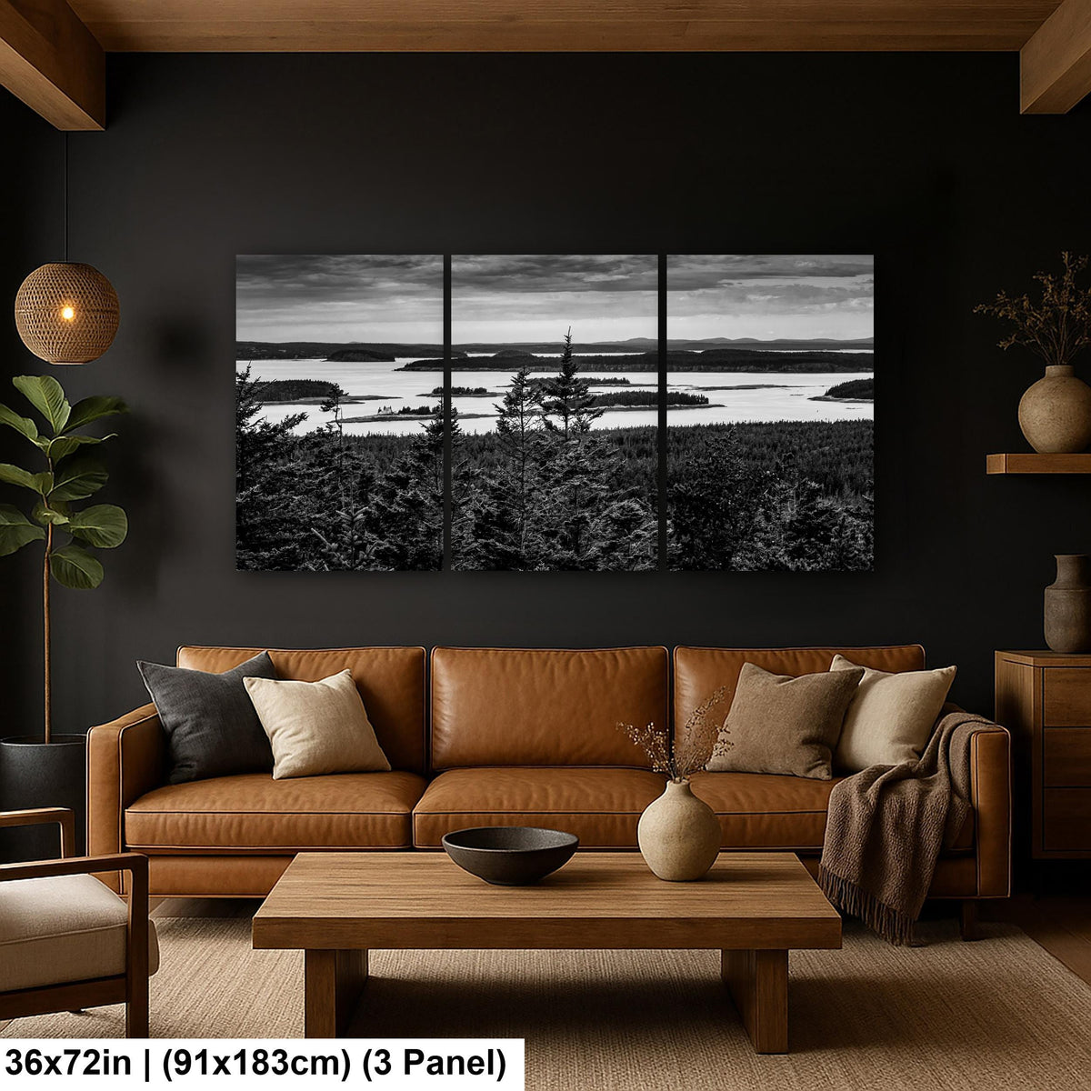Beyond the Pines: Acadia National Park Maine Islands Black White Wall Art