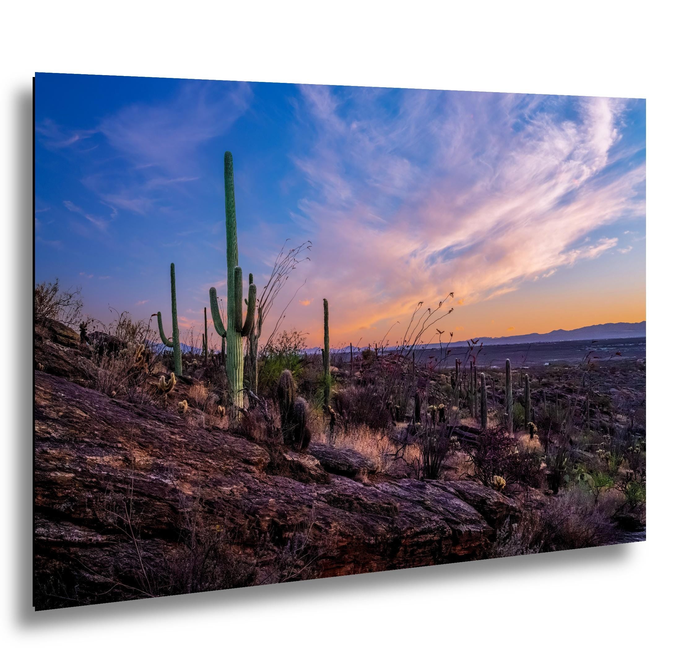 Rocky Sonoran Desert Hillside Sunset with Saguaros - Saguaro National Park East Tucson Photography Print