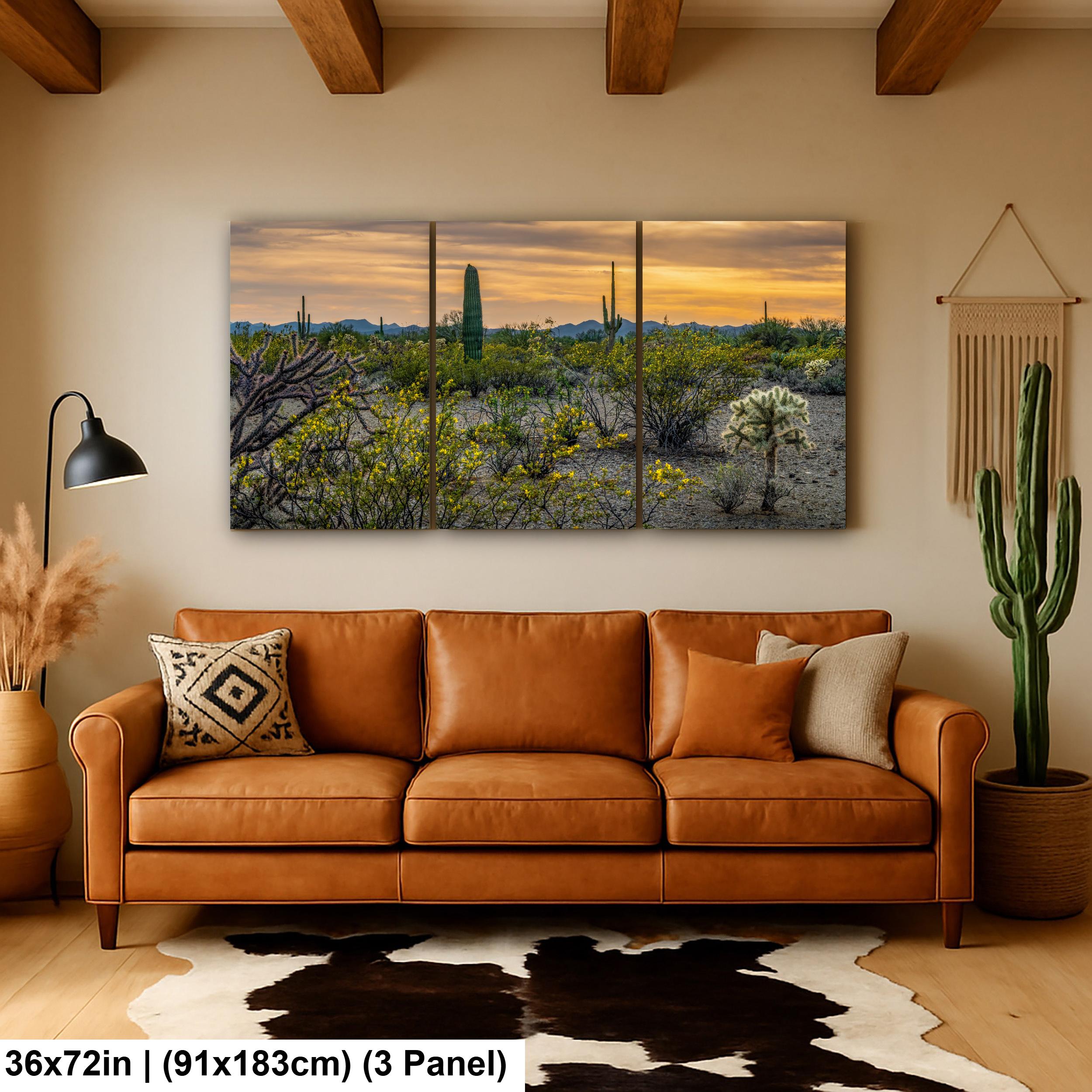 Spring Wildflowers and Saguaros at Dusk Tucson Arizona Photography Print