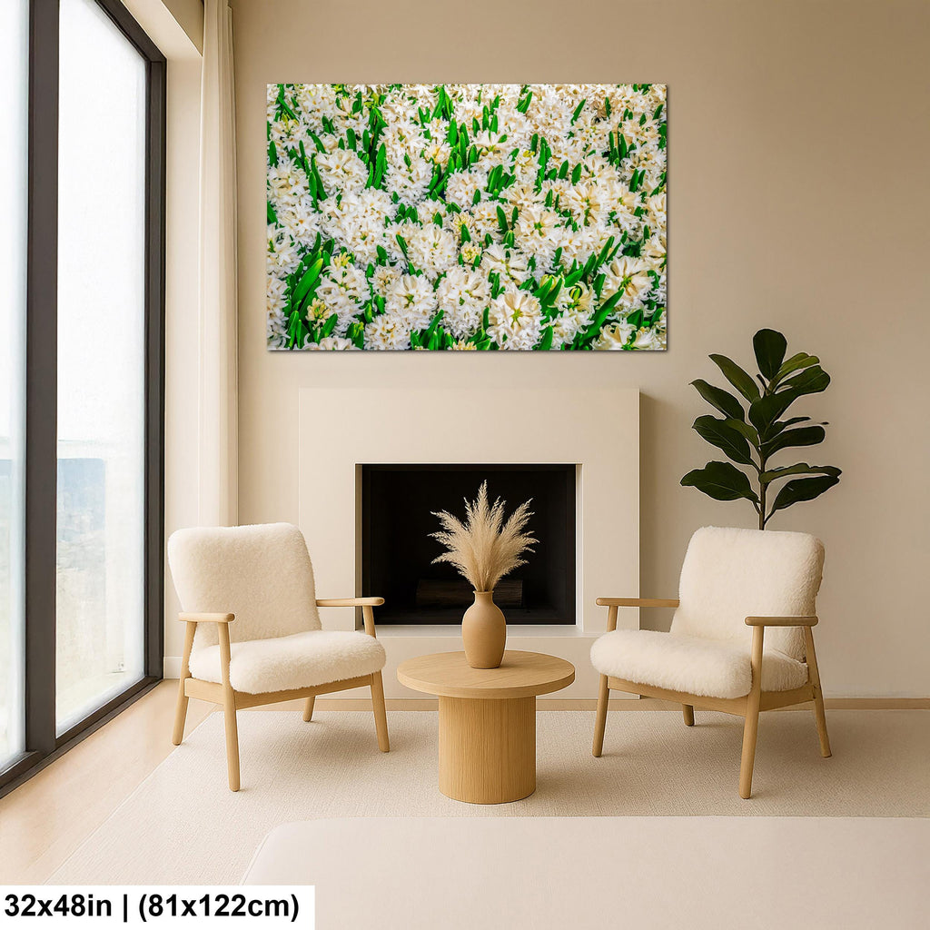 Spring Whites: White Hyacinth Flowers Botanical Photography Wall Art