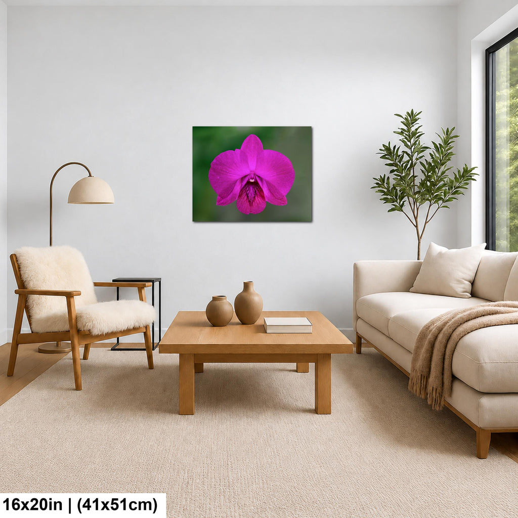 Violet Beauty: Purple Orchid Flower Botanical Floral Photography Wall Art