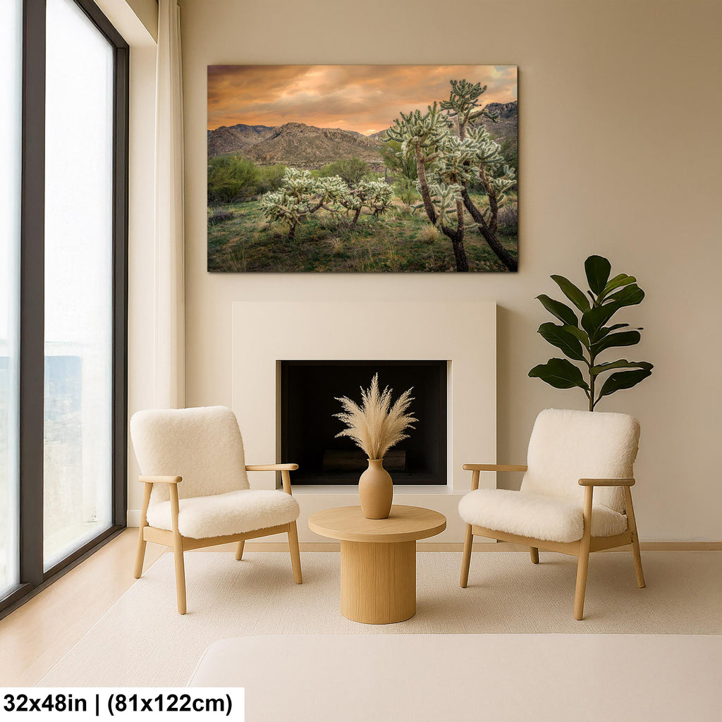 Cholla Cactus at Sunset in Catalina State Park Tucson Arizona Photography Print