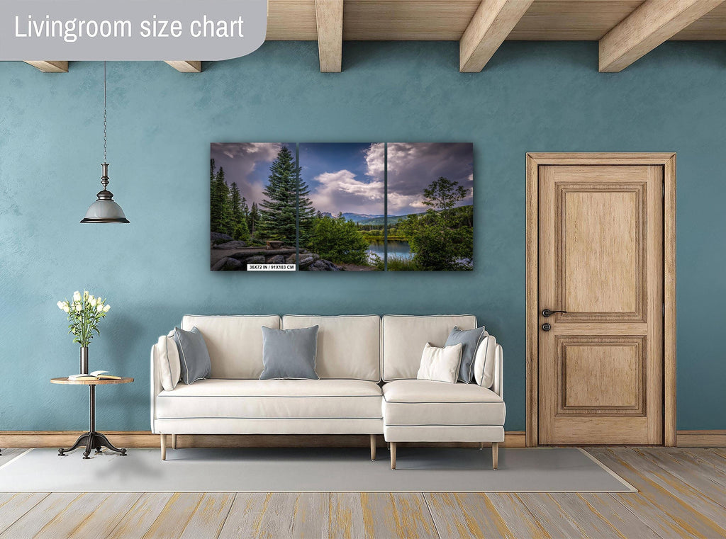Rocky Mountain National Park Print: Colorado Cloud-Kissed Pines Photography