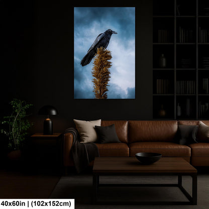 Raven Perched on Golden Agave Stalk - Dramatic Bird Wildlife Photography Print