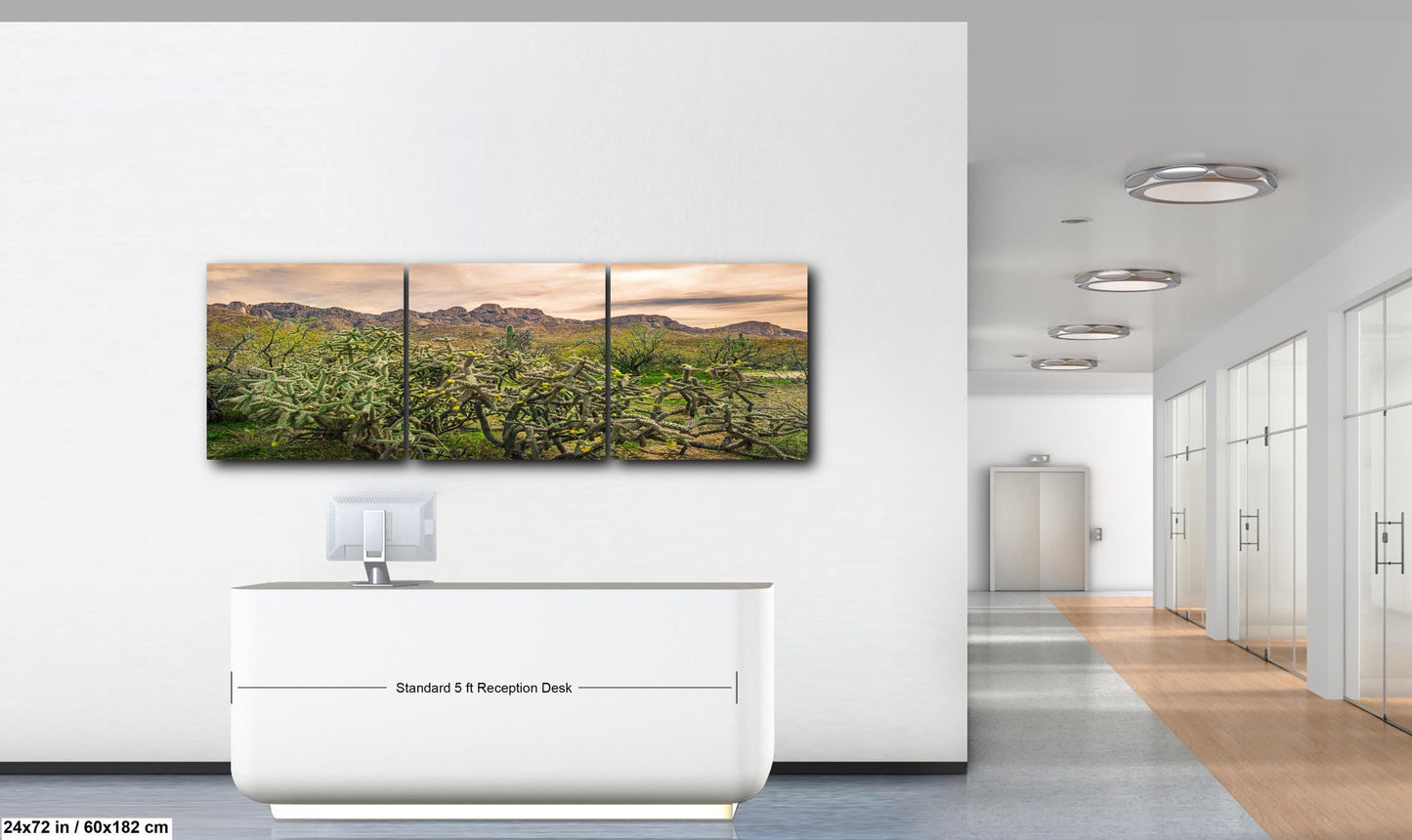 Catalina State Park Blooming Cholla - Tucson Arizona Desert Mountains Photography Print