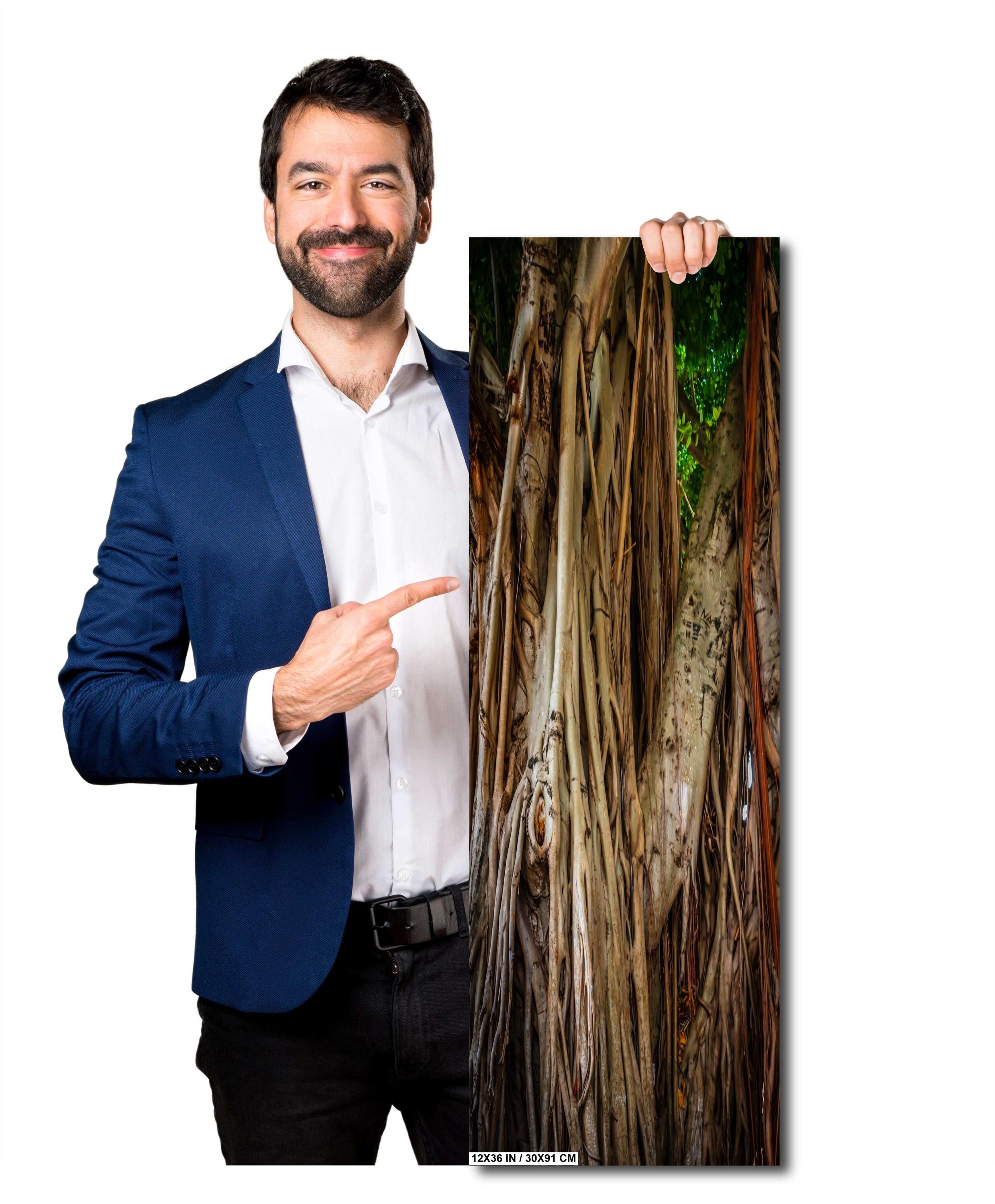 Miami Banyan Tree Closeup: A Tree Full of Life Bayside Florida Print Wall Art Nature Photography Aluminum/Acrylic/Metal/Canvas Home Decor