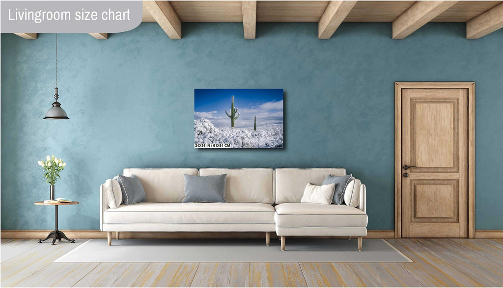 Snowy Saguaro Cactus Print: Tucson Desert Winter Photography