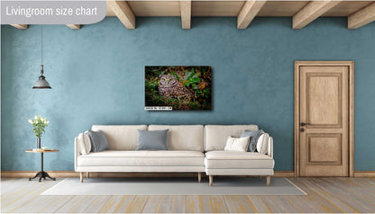 Burrowing Owl with Bright Eyes – The Watchful Guardian of Cape Coral The Americas Print Wall Art Photography Aluminum/Acrylic/Metal/Canvas
