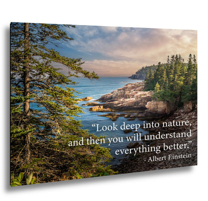 Albert Einstein Look Deep Into Nature Coastal Forest Motivational Photography Print