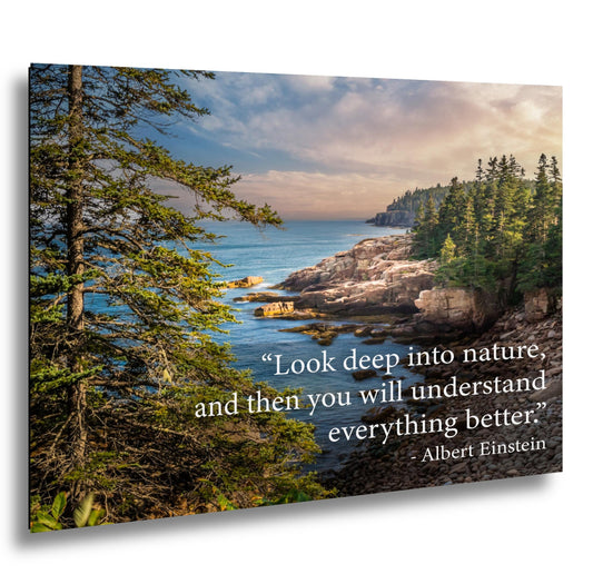 Albert Einstein Look Deep Into Nature Coastal Forest Motivational Photography Print
