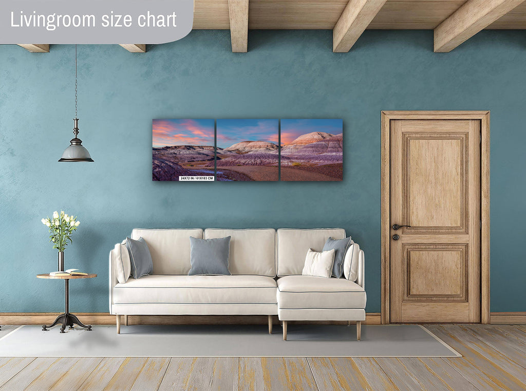 Nature's Ancient Relics: Petrified Forest National Park Arizona Wall Art Photography