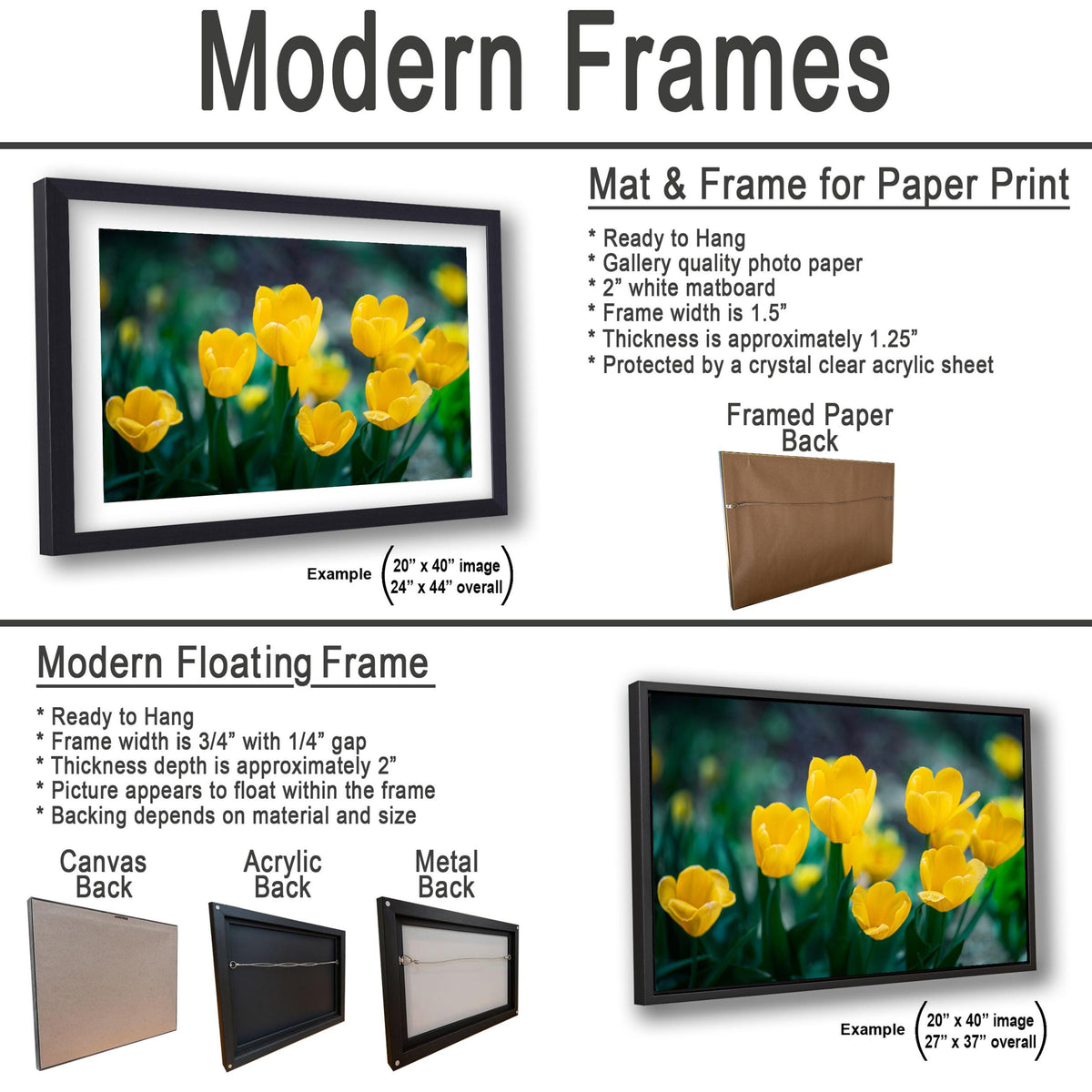 Sunlit Blooms: Yellow Tulip Flower Photography Botanical Floral Wall Art