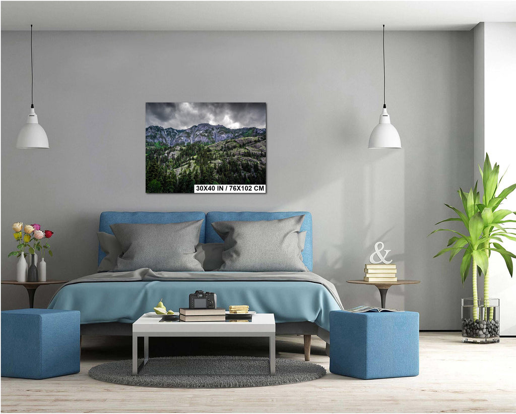 Ouray Colorado Forest Print: San Juan Mountains Landscape Photography
