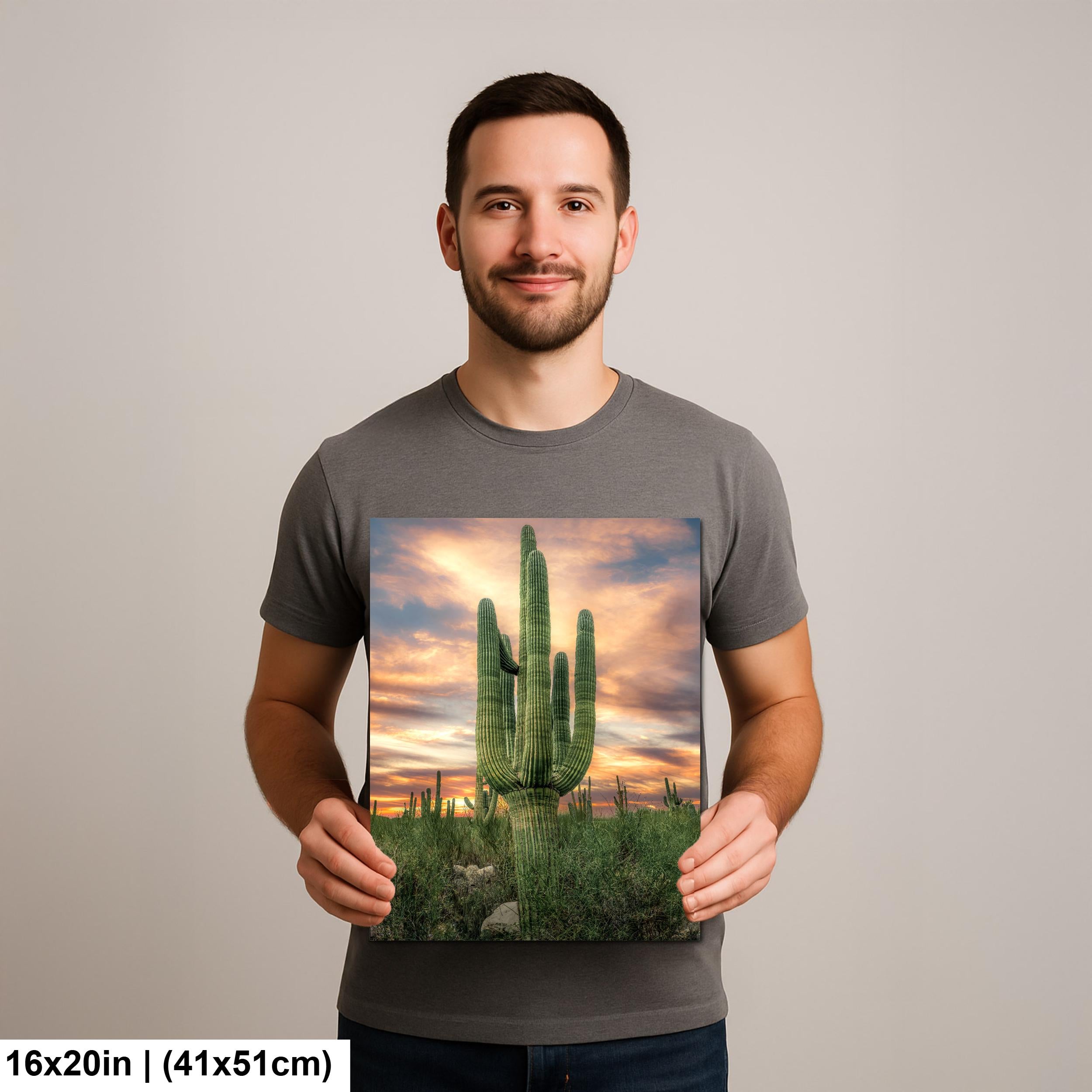Towering Multi-Arm Saguaro at Sunset - Catalina State Park Tucson Arizona Sonoran Desert Photography Print