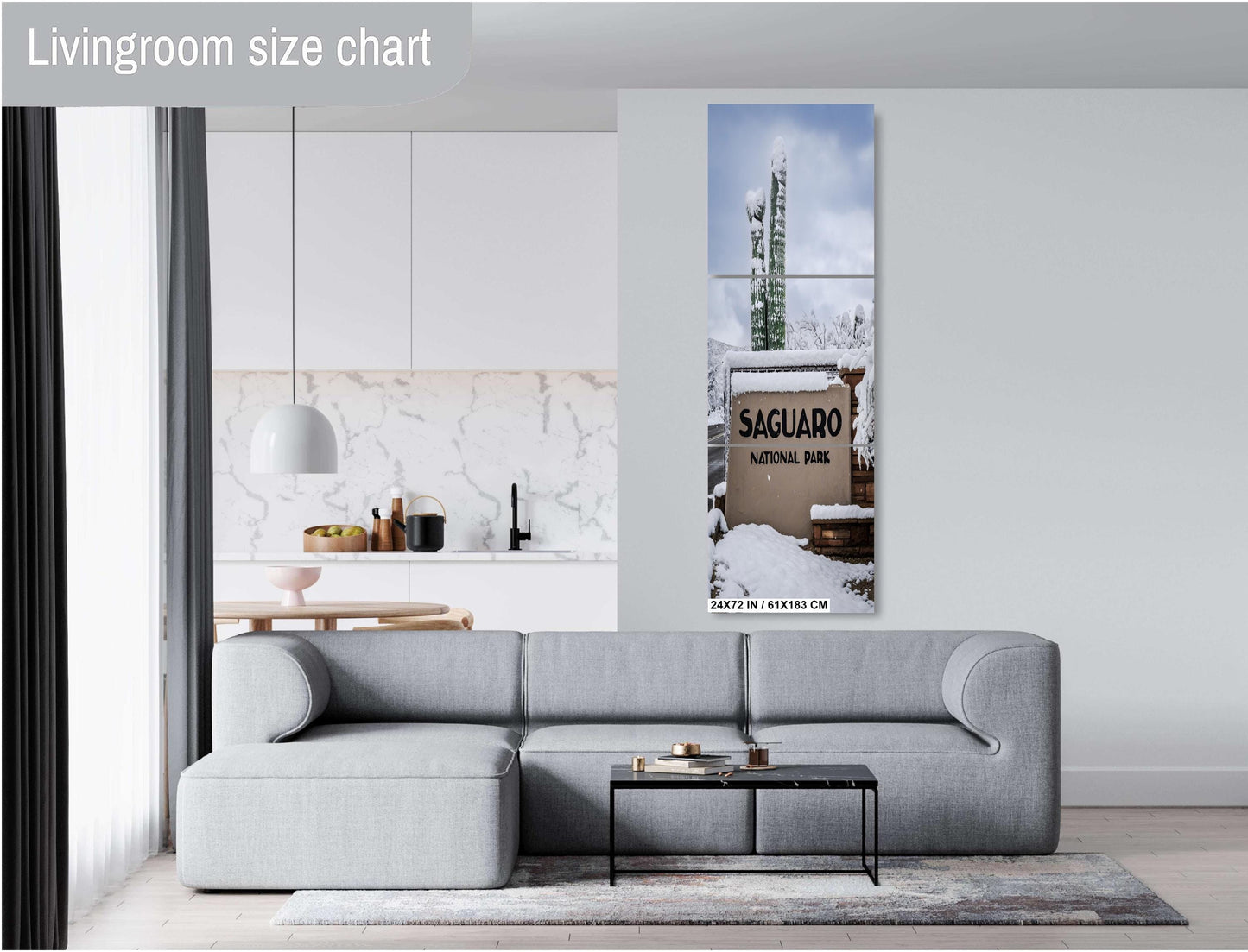 Saguaro National Park Wall Art – Snowy Desert Landscape | Tucson Arizona Decor