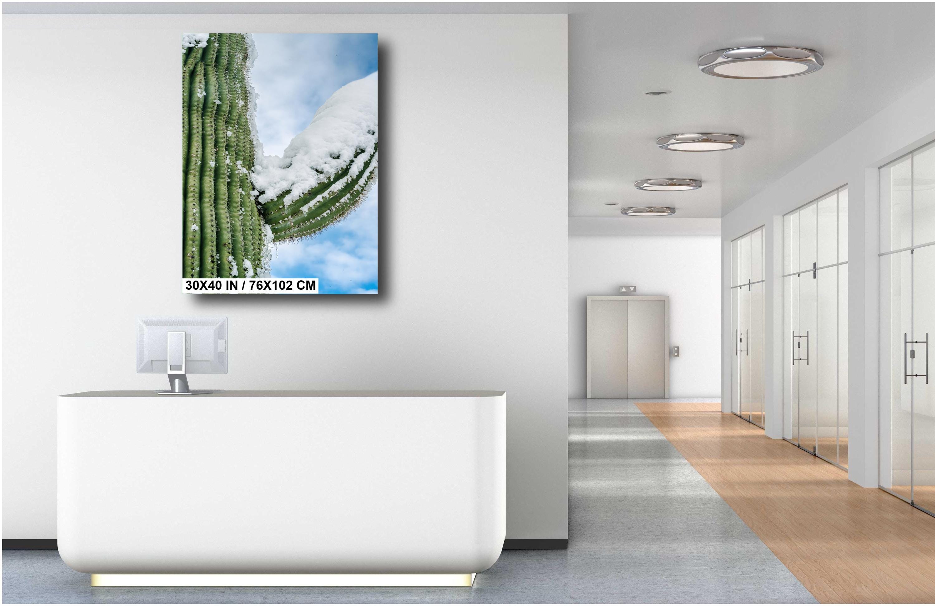 Snowy Saguaro Cactus Print: Arizona Desert Winter Wall Art