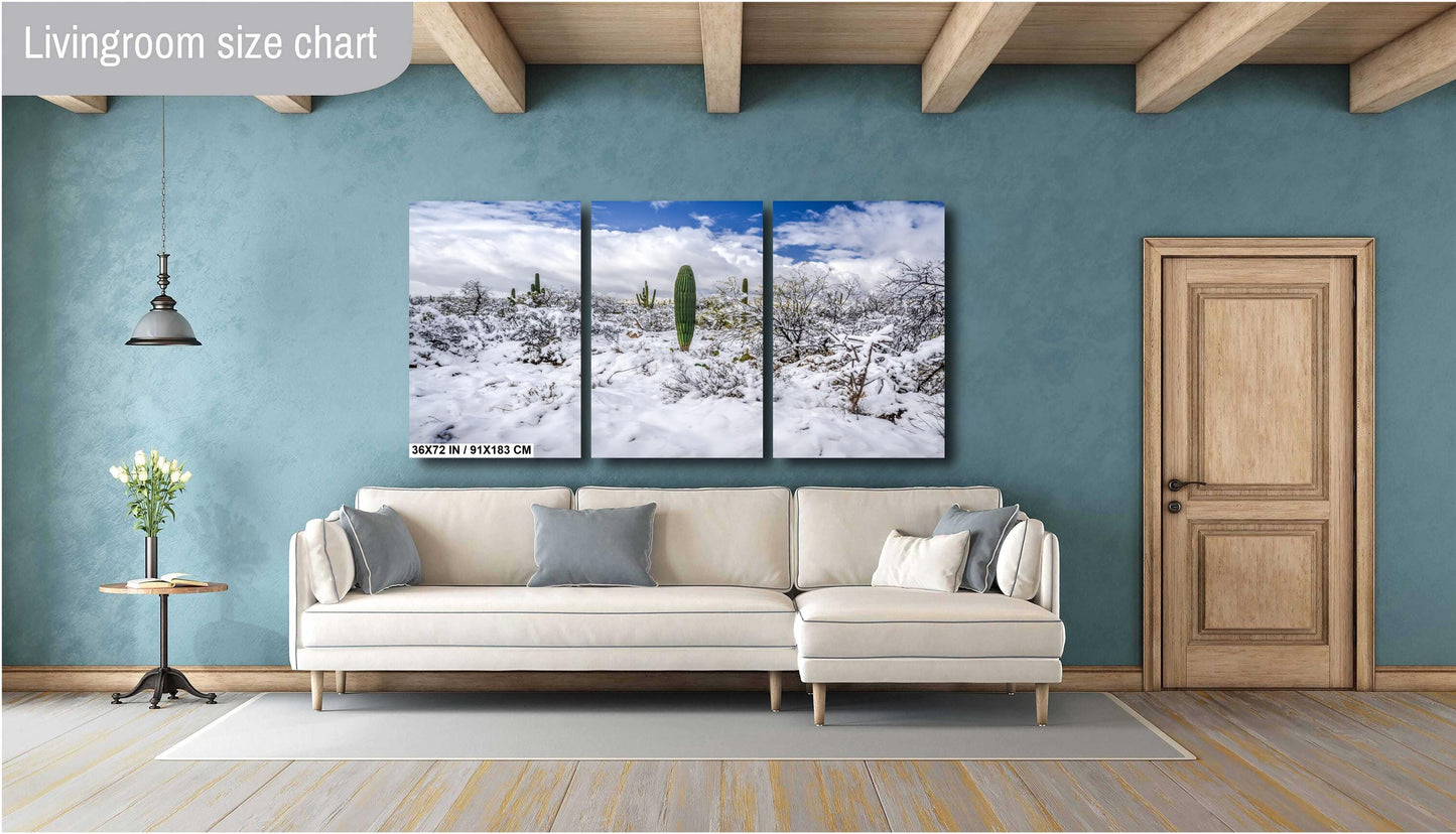 Saguaro National Park Print – Desert Wall Art | Winter Cactus Art in Tucson Arizona
