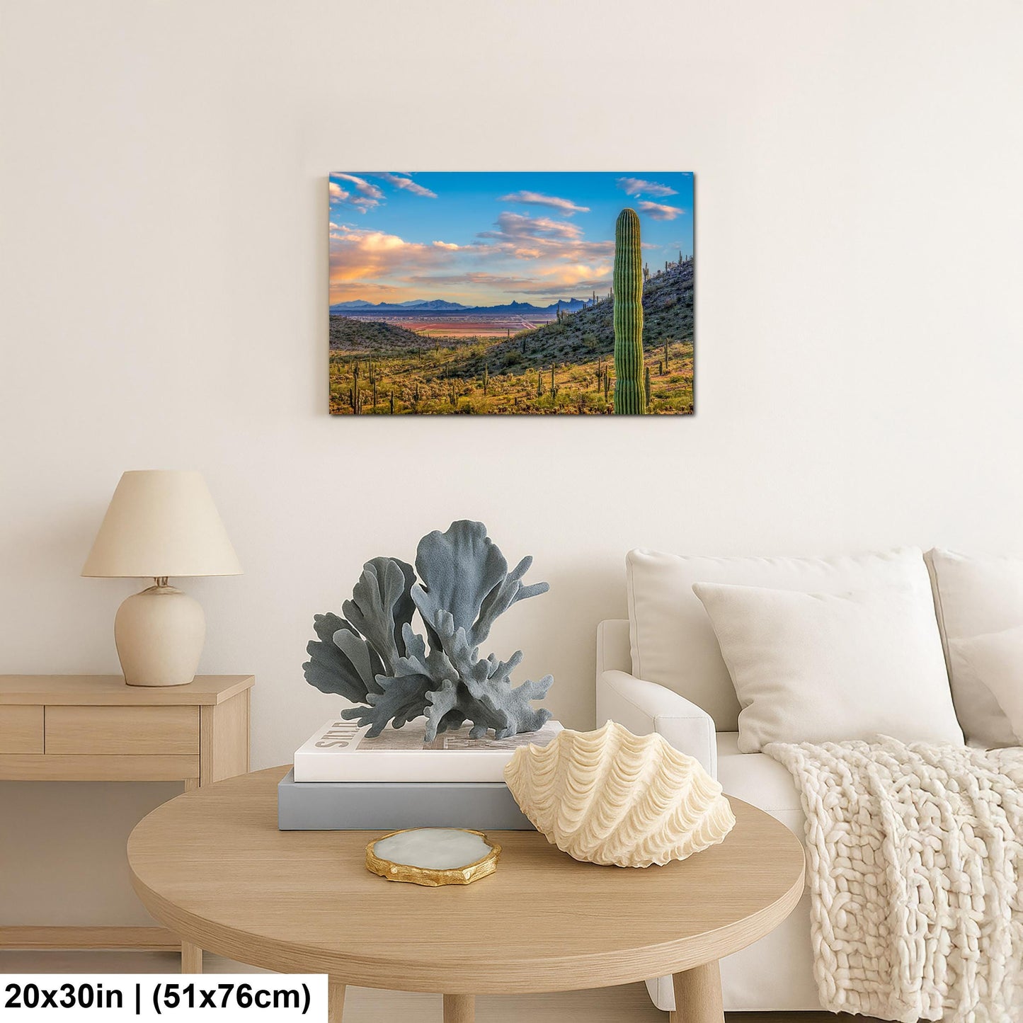 Desert Valley View with Saguaros, Casa Grande Arizona, Photography Wall Art