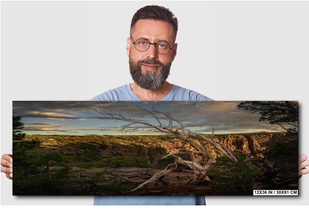 Man holding a panoramic landscape photo of a sunset over a field with trees.