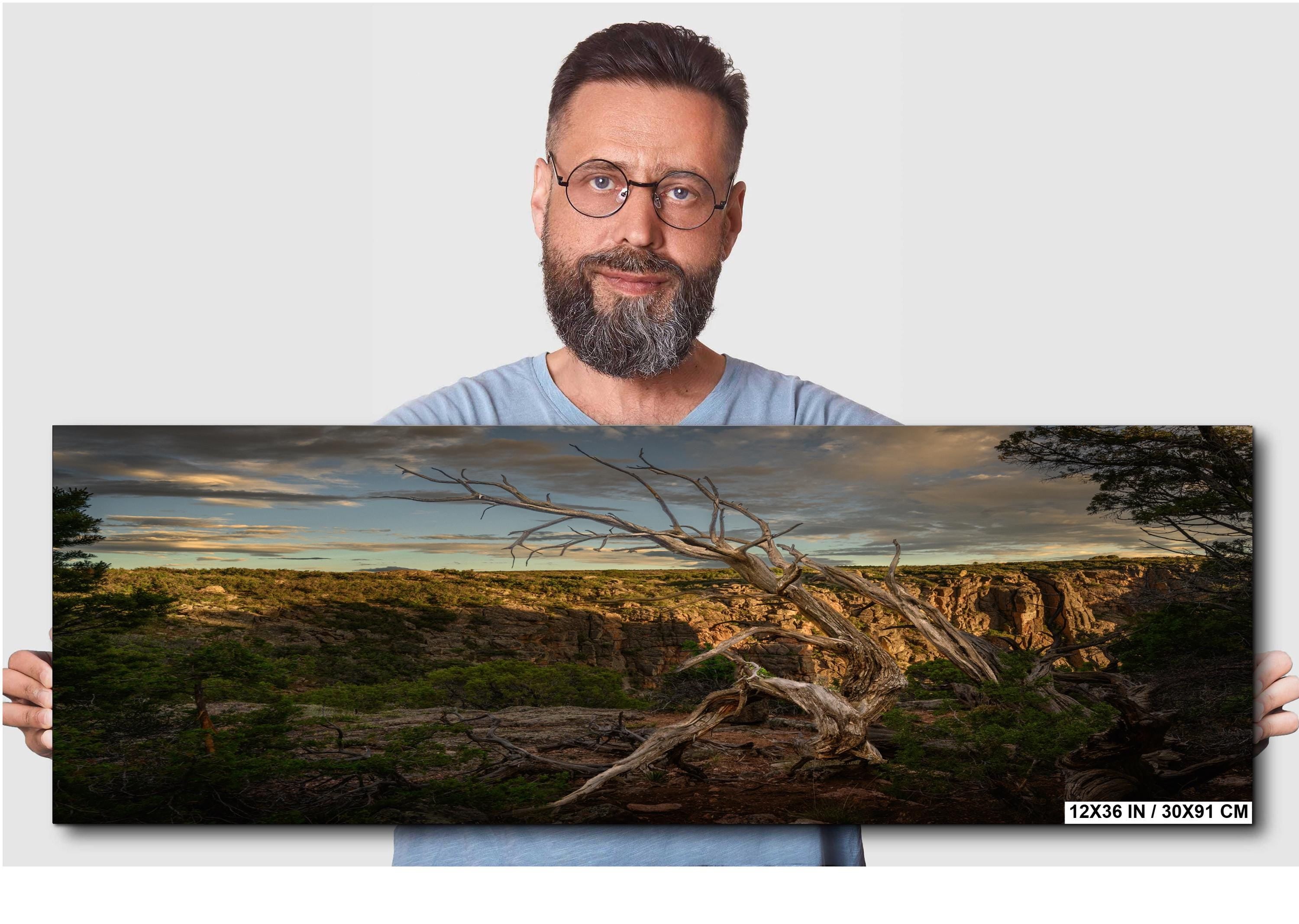 Man holding a panoramic landscape photo of a sunset over a field with trees.