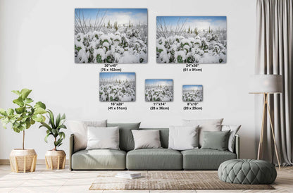 Saguaro Cactus Wall Art – Snowy Desert Print | Tucson Arizona Winter Decor