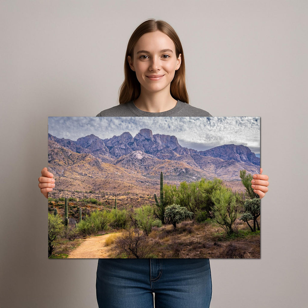 Santa Catalina Majesty, Arizona Mountains Sonoran Desert Photography Wall Art